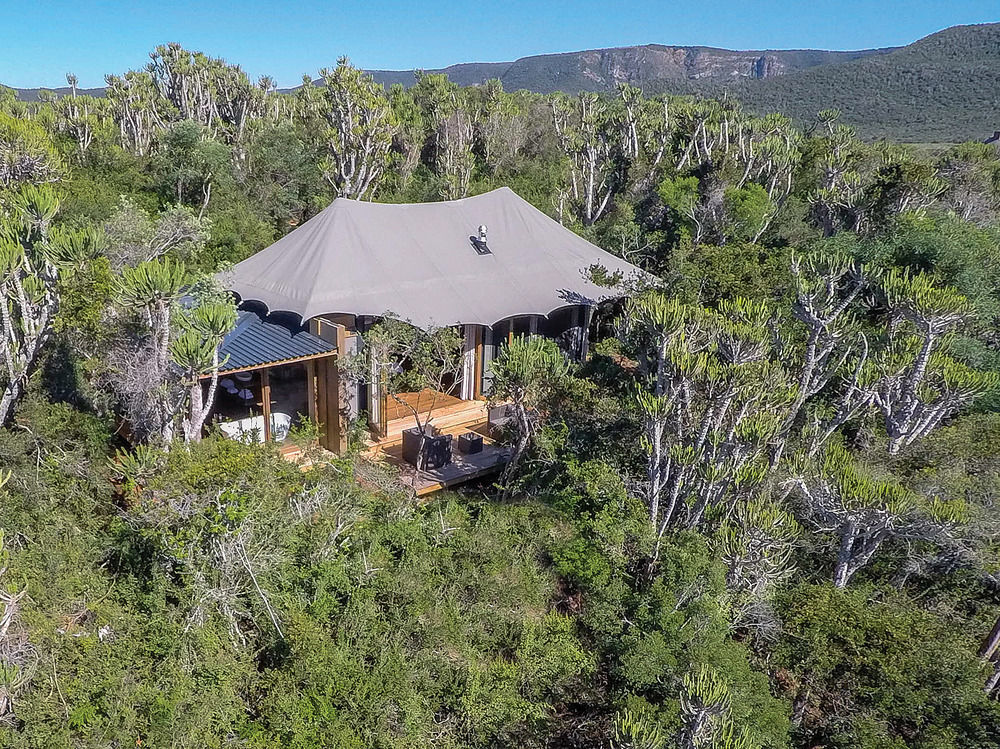 Kariega Game Reserve Settlers Drift Alexandria  Екстер'єр фото